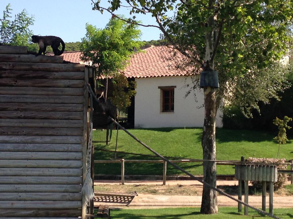 Apartamento Turistico Cigüeña de Arguedas Exterior foto